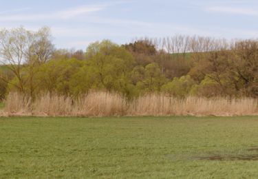 Randonnée A pied Fulde - Fuldaer Rundwanderweg - Photo