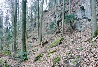 Trail On foot Murrhardt - Idyllische Straße Tour K - Photo