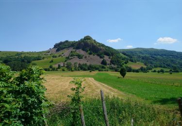 Tocht Stappen Dienne - Cantal - Dienne - Drils et Laqueille - 7.2km 205m 2h50 - 2019 07 05 - Photo