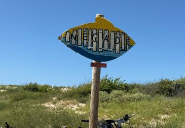 Trail Hybrid bike Vendays-Montalivet - Pointe de la Grave - Photo