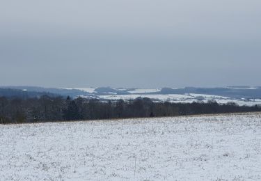 Tour Wandern Havelange - rando nettine 9/02/2021 - Photo