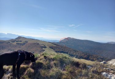 Tour Wandern Chamaloc - Le But de Nève - Photo