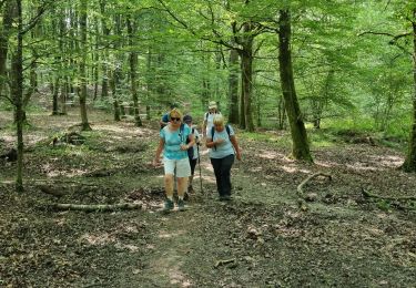 Trail Walking Rambouillet - la tour - Photo