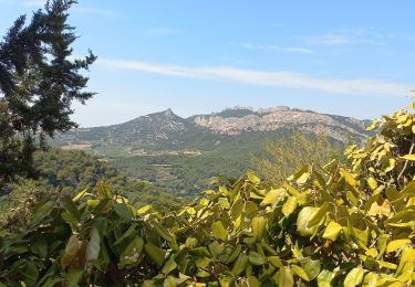 Randonnée Marche La Roque-Alric - Le Carabelle 520m - Photo