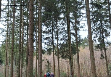 Randonnée Marche Ferrières - Marche ADEPS BURNONTIGE 2024 16 Km  - Photo