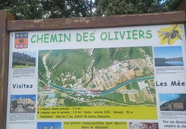 Tocht Stappen Les Mées - LES MEES . CHEMIN DES OLIVIERS O L  - Photo