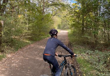 Tocht Mountainbike Wellin - Geopark Wellin - Photo