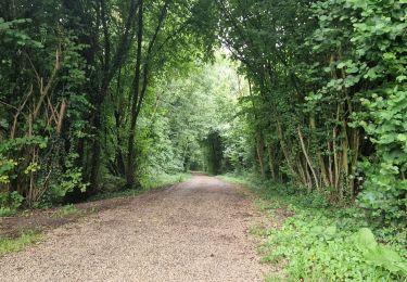 Trail Walking Vadencourt - Vadencourt- Tupigny - Photo