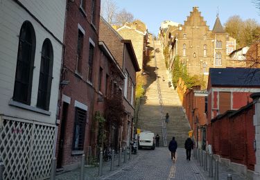 Tocht Stappen Luik - Rocourt > Citadelle de Liège  - Photo