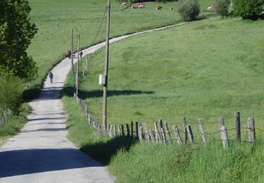Trail On foot Erro - Aurizberri/Espinal Esnotz - Photo