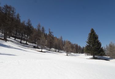 Tour Schneeschuhwandern Montricher-Albanne - Albanne - les Arpons - Photo
