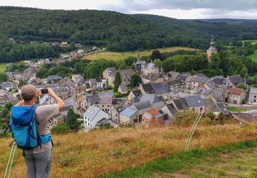 Tour Wandern Viroinval - De Vierves à Dourbes par les ruines du château de Haute Roche - Photo