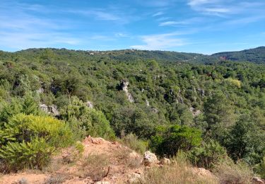 Trail Walking Carlencas-et-Levas - Carlencas  - Photo