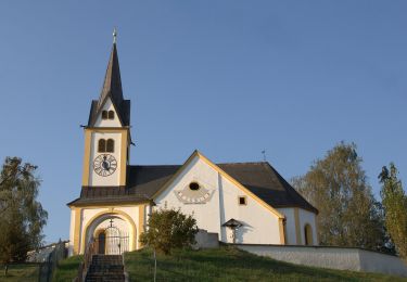 Excursión A pie Sinabelkirchen - Wanderweg 3 - Photo