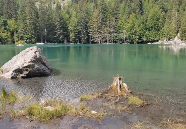 Tour Wandern Les Houches - Gorges Diosaz, Lac Vert  - Photo