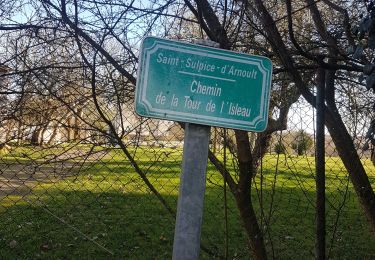 Trail Walking Saint-Sulpice-d'Arnoult - Saint Sulpice d'Arnoud - Photo