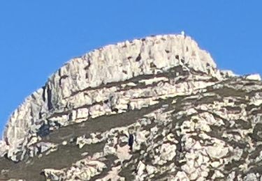 Tour Wandern Aubagne - le tour de garlaban Martine - Photo