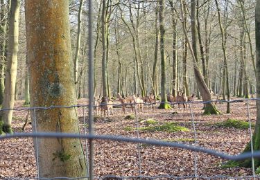 Trail Walking Canteleu - Roumare - Parc animalier du 23/02/2023 - Photo