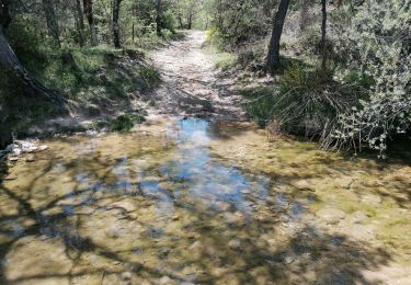 Tour Wandern Montlaux - la blanche 2023 - Photo