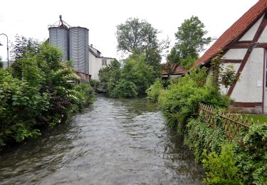 Randonnée A pied Bempflingen - Eduard-Mörike-Weg - Photo