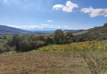 Tour Wandern Seignalens - seignalens - Photo