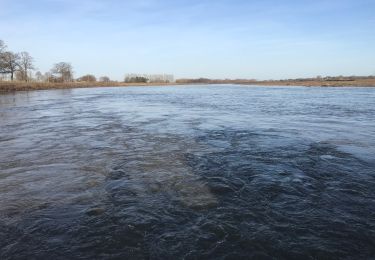 Tocht Elektrische fiets Maaseik - Naar Maasvallei - Photo