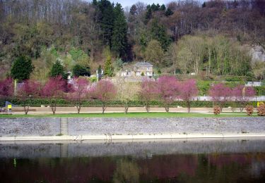 Trail On foot Durbuy - 5. La Boucle de Durbuy - Photo