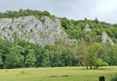 Tocht Stappen Dinant - Furfooz Lilou flobette  - Photo