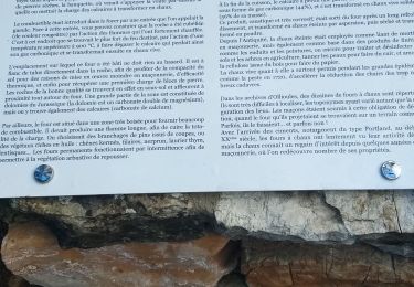 Tocht Stappen Ollioules - Le Croupatier fours et grotte - Photo