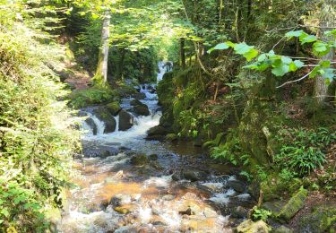 Tour Wandern Girmont-Val-d'Ajol - Girmont 4.8 - Photo