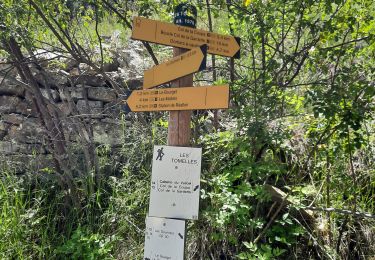 Randonnée Marche Réallon - col de la Coupa - Photo