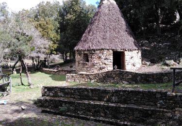 Tour Wandern Gàiru/Gairo - autour du taccu isara - Photo