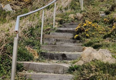 Tocht Stappen Plougasnou - Le Diben - Photo