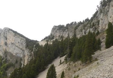 Trail Walking Romeyer - Col des Bachassons depuis Romeyer - Photo