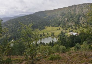 Tour Wandern Sulzern - Lac Vert - Lac Forlet Sity - Photo