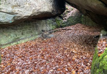 Excursión Marcha nórdica Fontainebleau - Départ ma faisanderie  - Photo