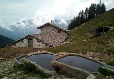 Randonnée A pied Lillianes - Alta Via n. 1 della Valle d'Aosta - Tappa 2 - Photo