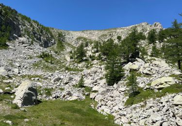Trail Walking Tende - Mont Bégo  - Photo