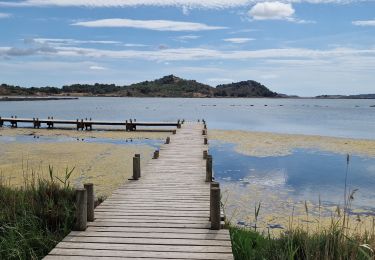 Tour Wandern Peyriac-de-Mer - peyriac - Photo