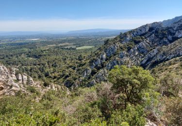 Tour Wandern Saint-Rémy-de-Provence - les alpilles  arsel - Photo