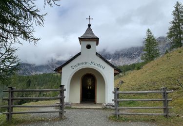 Percorso A piedi Ramsau am Dachstein - Dureggrundweg 