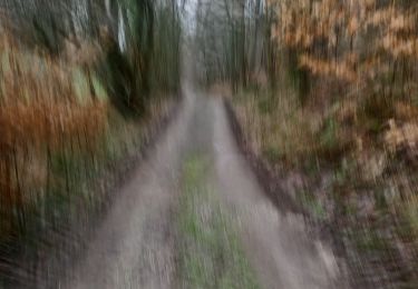 Trail Running Wanze - around my place - Photo