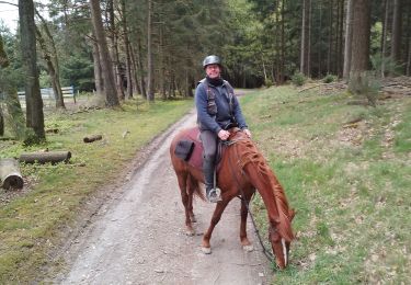 Trail Horseback riding Lierneux - C A 2024 Bra - Photo