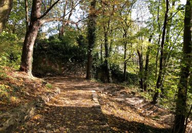 Tocht Stappen Luik - Liege - Photo