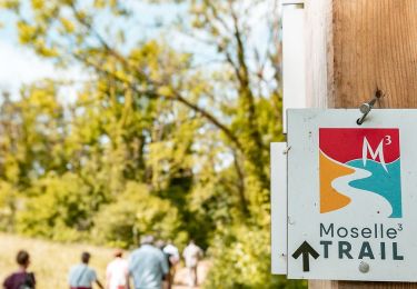 Tour Zu Fuß Schengen - Moselle³ Trail im grenzenlosen Dreiländereck deutsch-französisch-luxemburgische - Photo