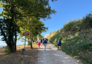 Trail Walking Curtil-Vergy - Abbaye saint Vivant - Photo