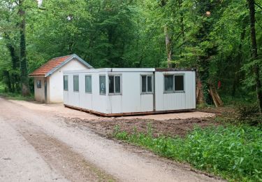 Percorso Marcia Estissac - Forêt communale d'Estissac - Photo