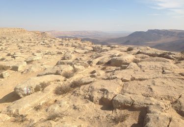 Trail On foot Ramat Negev Regional Council - IL-18232 - Photo