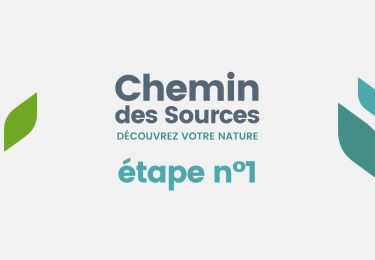 Trail Walking Spa - Chemin des Sources |stage n°1 SPA - FRANCORCHAMPS - Photo