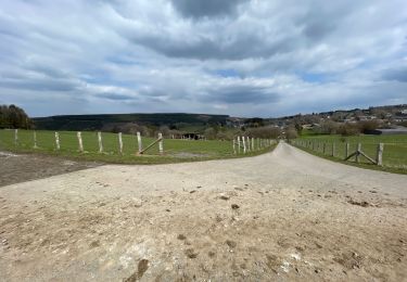 Trail Walking Manhay - Freyneux - Photo